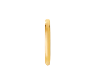 Anillo Fedi