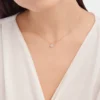 Collar Divas’ Dream